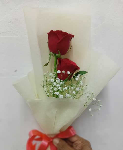 **Charming Duo: 2 Red Roses in Elegant Paper Wrap